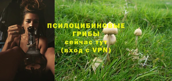 соль курить ск Алзамай
